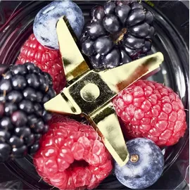 GASTROBACK Design Smoothie Maker Mix & Go 41033 Standmixer