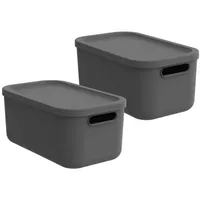 Rotho Albula light 2er Set Aufbewahrungsbox mit Deckel 12L