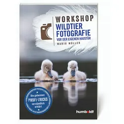 Buch Workshop Wildtierfotografie vor der eigenen Haustür