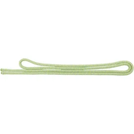 Salewa Master Cord Reepschnur Grün