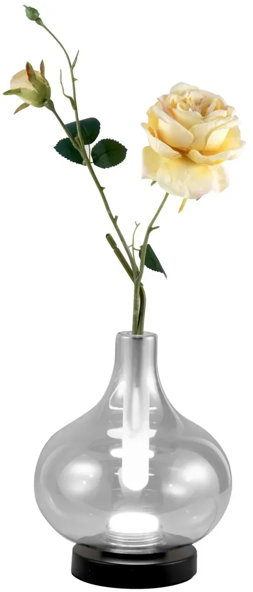 Fabas Luce LED-Glasvasenleuchte CRODO - D/H ca. 19,00x23,00