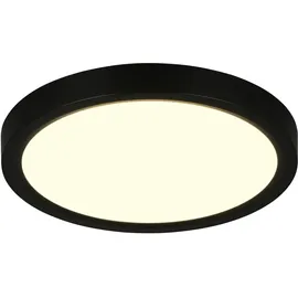 rl live your light Draco 1 rund Schwarz matt