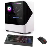 Hyrican Horizon 7330 Ryzen 5 5500, 32GB RAM, 2TB SSD, GeForce RTX 4060