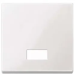 Merten Wippe Symbol Fenster pwsgl 432819