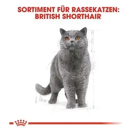 Royal Canin Adult British Shorthair 2 kg
