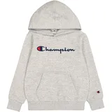 Champion CHAMPION, Hooded Sweatshirt, NOXM-NS, S