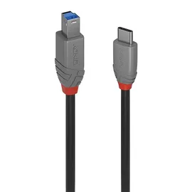 Lindy USB-C auf USB-B 0,5 m Schwarz