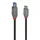 Lindy USB-C auf USB-B 0,5 m Schwarz