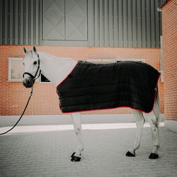 Sunride Unterdecke 300g, 115