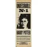 Grupo Erik Editores Harry Potter Undesirable No1 – Tür-Poster
