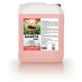 Lorito Sanifix Ecoline kennzeichnungsfreier Öko Sanitärreiniger Kalklöser 10 Liter