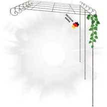 deluke Pergola RITTO 600 x 300 x 250 cm Antik-Braun
