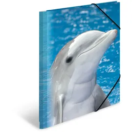 Herma Sammelmappen DIN A4 Delfine, 3 St.