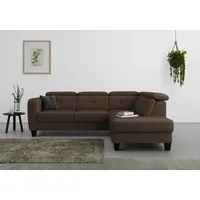 sit&more Ecksofa »Belluci L-Form«, inklusive Federkern, wahlweise mit Bettfunktion und Bettkasten, braun