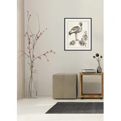 queence Bild »Larissa«, Vögel-Vogelbilder-historische Ereignisse-Kunst, (1 St.), HD Premium Poster-Druck inkl. Holzrahmen queence schwarz
