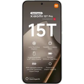 Xiaomi 15T Pro 12 GB RAM 512 GB Gray