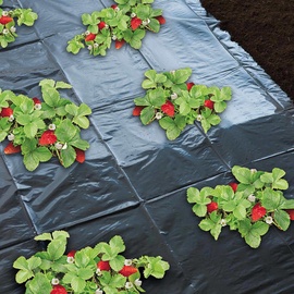 Versele-Laga Nature Mulchabdeckung für Erdbeeren 1,4 x 20 m 6030231