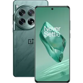 OnePlus 12 512 GB flowy emerald