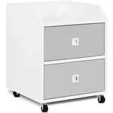 Wagner GreenBOX light 53,5 x 53,5 x 70 cm Anthrazit