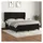 vidaXL Boxspringbett mit Matratze Schwarz 180x200 cm Samt