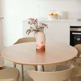 Profolio Tischfolie Rund & Leicht Transparent mit abgeschrägter V-Kante - Feinmattierte Tischdecke als Schutz ohne Luftblasen - Matte 2mm Folie für Ihren Tisch - 165cm Durchmesser - Größe Wählbar
