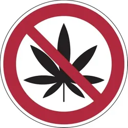 König Werbeanlagen Dreifke® Verbotsschild, Cannabis verboten - praxisbewährt - 100 mm Folie selbstklebend