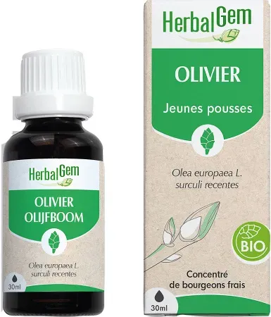 Herbalgem Olivenbaum Konzentriertes Muttermazerat Bio 30ml