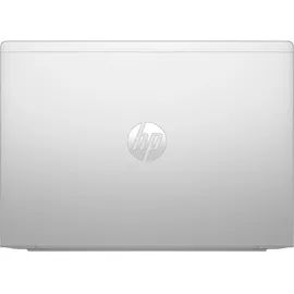 HP ProBook 440 G11, Pike Silver, Core Ultra 5 125U, 8GB RAM, 256GB SSD, DE (9C0C1EA#ABD)