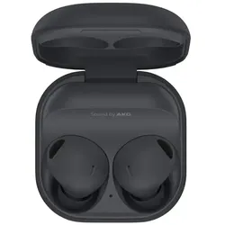 Samsung Galaxy Buds2 Pro - Graphit