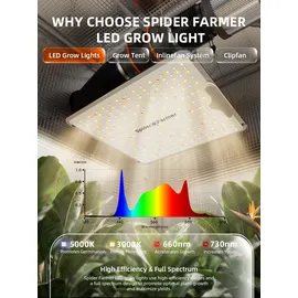 SPIDER FARMER Komplettset 70x70x160 cm Growbox Kit SF1000 mit GGS-Controller