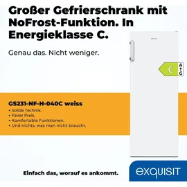 GGV Exquisit GS231-NF-H-040C