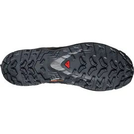 Salomon XA Pro 3D V9 GTX Herren Turbulence/Black/Burnt Ochre 46