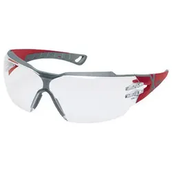 uvex Schutzbrille pheos cx2, mit Bügeln, rotgrau, Tönung: klar 4031101634456 UVEX