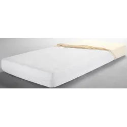 Encasing "Milbendicht aus Evolon, Allergiker geeignet (Hausstauballergiker)", weiß, B:140cm L:200cm, Bezug: 70% Polyester, 30% Polyamid, DORMISETTE PROTECT & CARE, Matratzenzubehör, Schutzbezüge, 40x80, 90x200cm und weitere Größen