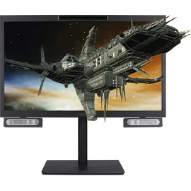 Acer DS2 ASV27-2P 27" schwarz