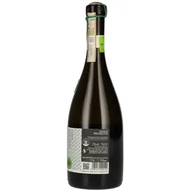 prapian Prosecco DOCG Trocken 0,75 l