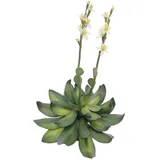 Europalms Steinrose (EVA), gelb, 32cm