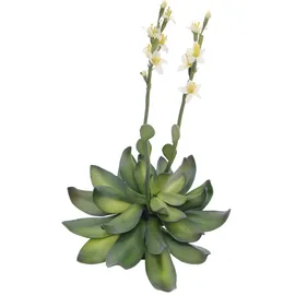 Europalms Steinrose (EVA), gelb, 32cm