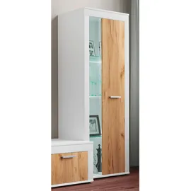 VCM Vitrine Usilo 60 x 35 x 159 cm Mehrfarbig