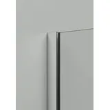Hüppe Gleittüreckeinstieg EasyEntry 2-tlg. BxH: 90 cm x 200 cm silber matt