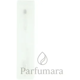 Clinique Concealer Brush