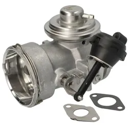 AGR Ventil BORG WARNER 7649D