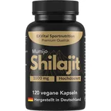 Exvital EXVital® Mumijo Shilajit Kapseln, 1000mg hochdosiert 74 g