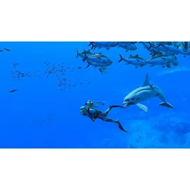 Endless Ocean Luminous - Edition - (PEGI) (Nintendo Switch)