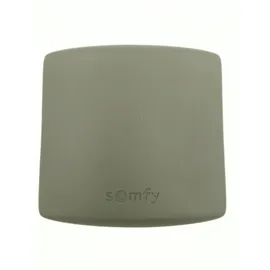 SOMFY – Kontrolle Universal 1841022 m. Radio RTS 2-Kanal Funkempfänger