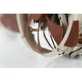 Noctua NH-D15 CPU Kühler Dual Tower Luftkühler für AMD und Intel CPU ́s