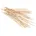 Papstar Schaschlikspieße Ø 3,5 mm 20 cm Holz