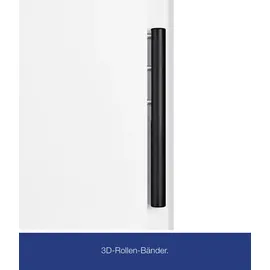 Hörmann THP 610S links 110 x 210 cm anthrazitgrau