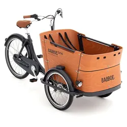 Babboe Curve Lastenfahrrad Buche