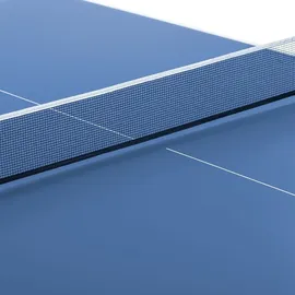 Dione Miniplatte S100i Blau